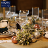 Mikasa MKSORCOUP4PC Sorrento 4lü 350ml Şampanya Coupe Bardağı