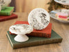 Mikasa x V&A Alice In Wonderland 5200021 Porselen 10cm 2li Kek, Pasta Standı