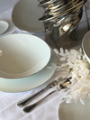 ROSENTHAL TAC Platin 51 Parça